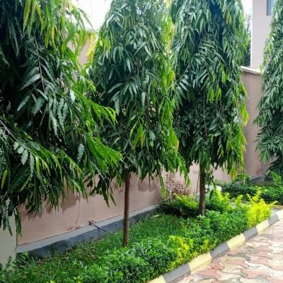 IMG_20251231_105554_375