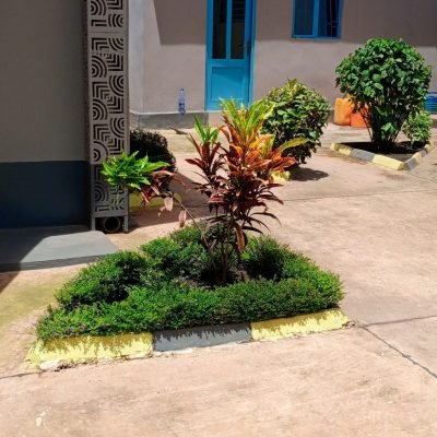 IMG_20260103_125735_443